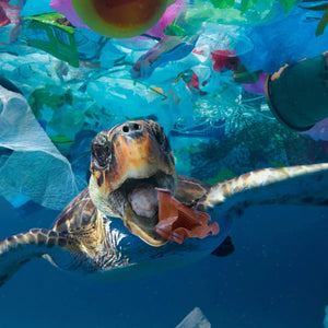 Decir adiós al plástico en el océano