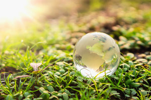 Sustainable Travel -