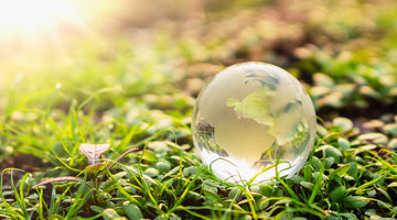 Sustainable Travel -