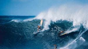 Surfrider Foundation