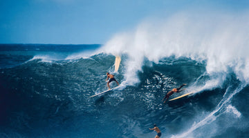 Surfrider Foundation