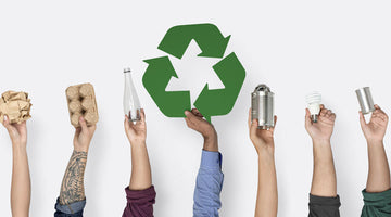 Sustainable Packaging -